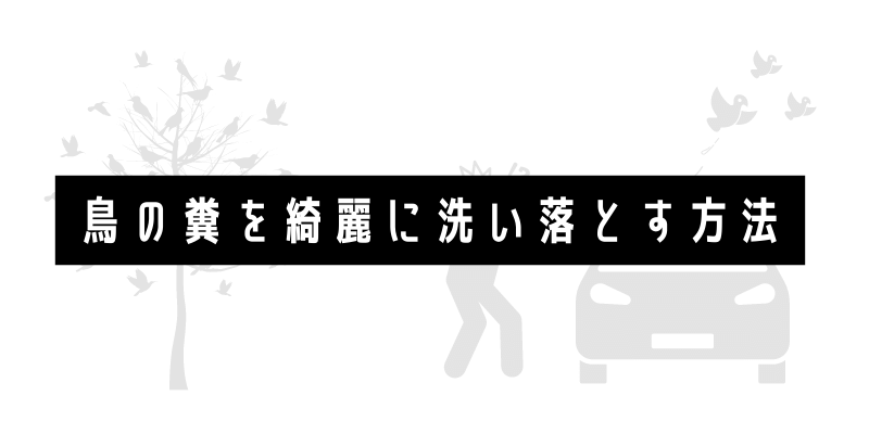 鳥対策 掃除しても落ちない 鳥の糞を綺麗に洗い落とす方法